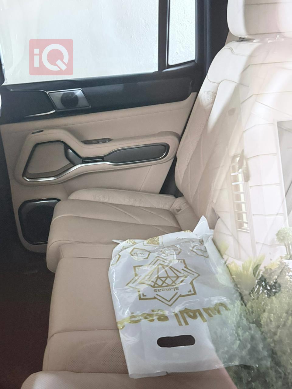 دينزا B8
